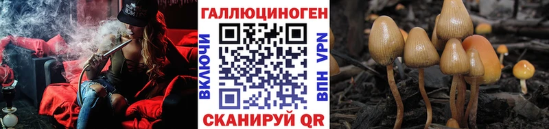 Псилоцибиновые грибы MAGIC MUSHROOMS  Купить закладки  Элиста 