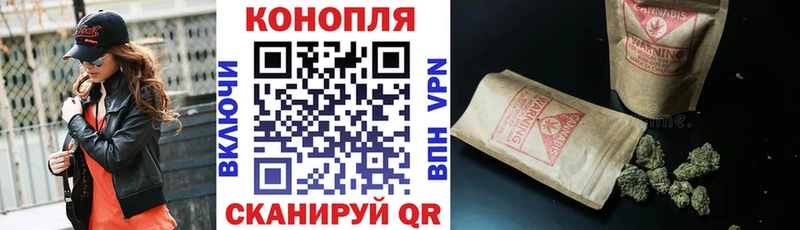 Купить закладки  Элиста  Бошки Шишки LSD WEED 